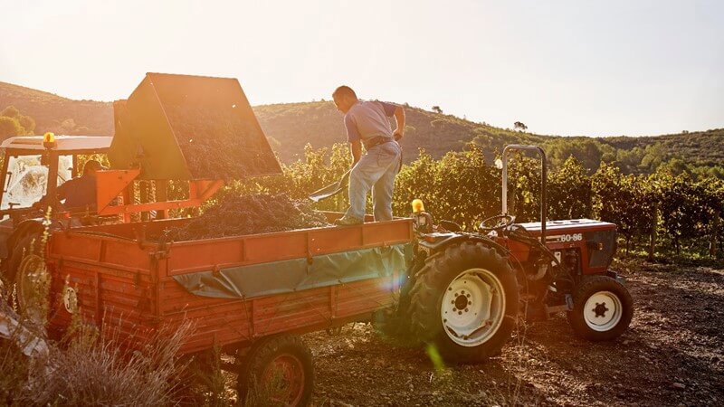 Vineyard Tractor.JPG