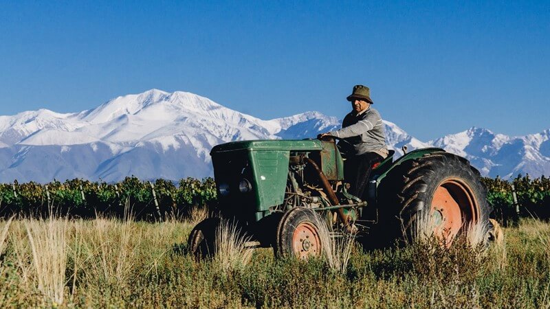 Argentine Winemaking.JPG