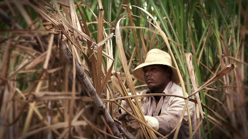 Eastern Hemisphere Sugar Rum.JPG