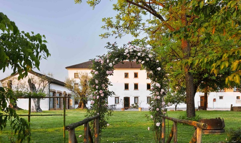 Image Of A Building Surrounded By Trees.jpeg